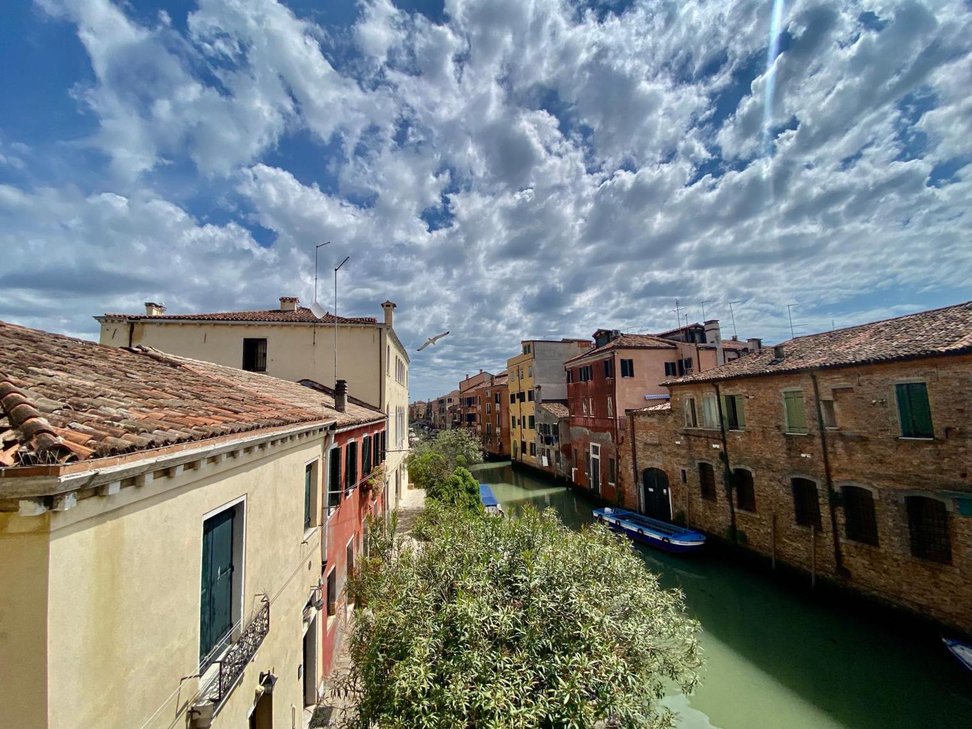 Margherita Venecia