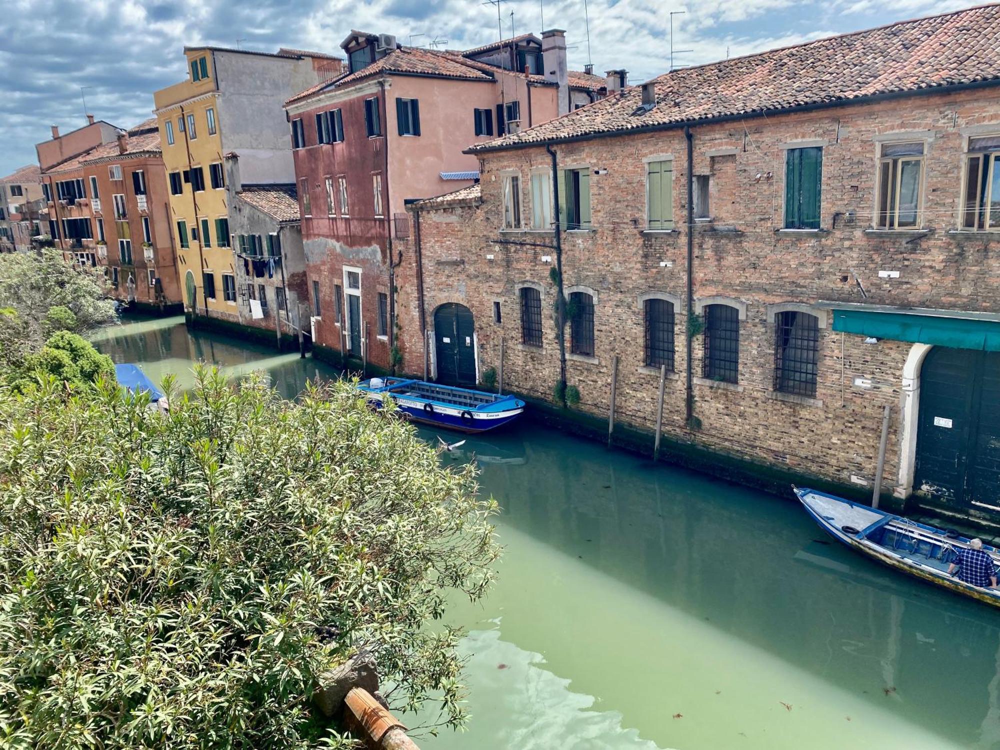 Margherita * Venecia